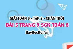 Bài 5 trang 9 Toán 8 Tập 2 Chân trời sáng tạo